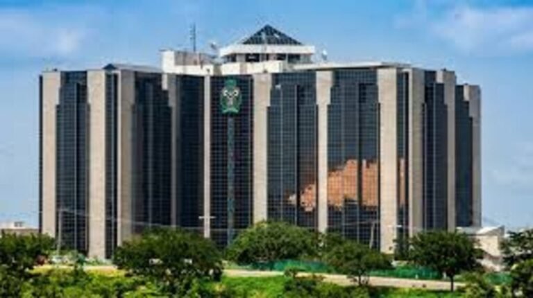 Explainer:  What the CBN credit survey says about cost of borrowing