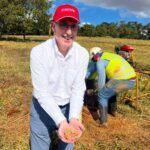 Araxá MRE increase for St George