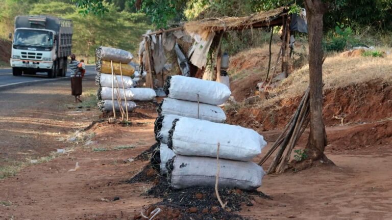 Charcoal prices at 78-month high, households hit
