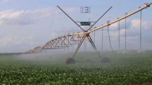 Large-scale irrigation key to Kenya transformation