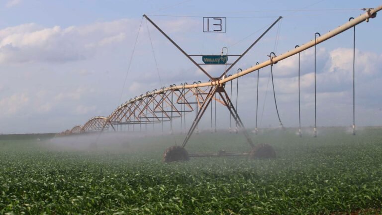 Large-scale irrigation key to Kenya transformation