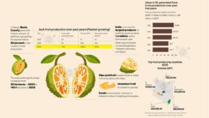 Jackfruit's unlikely rise as Kenya's next wonder crop