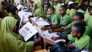 Beyond transmitting knowledge: Transformative literacy via CBE