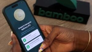 Kenyan investors miss out on Dangote’s Sh200bn IPO