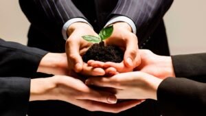 Why MSMEs and banks need a mutual evolution