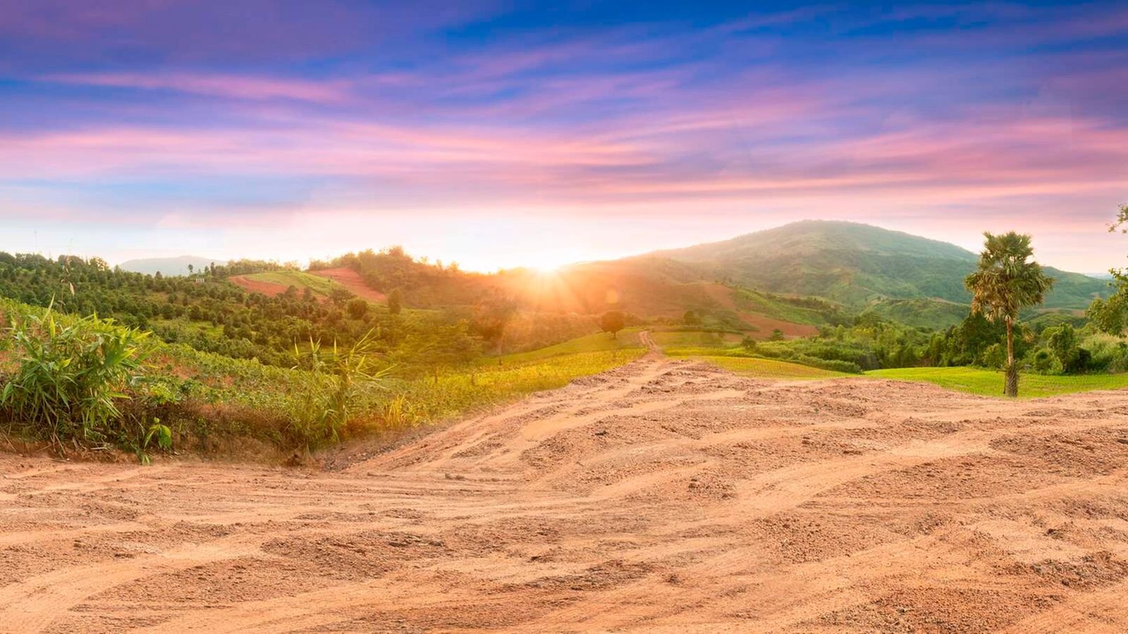 Ardhisasa needs to make land transactions truly transparent