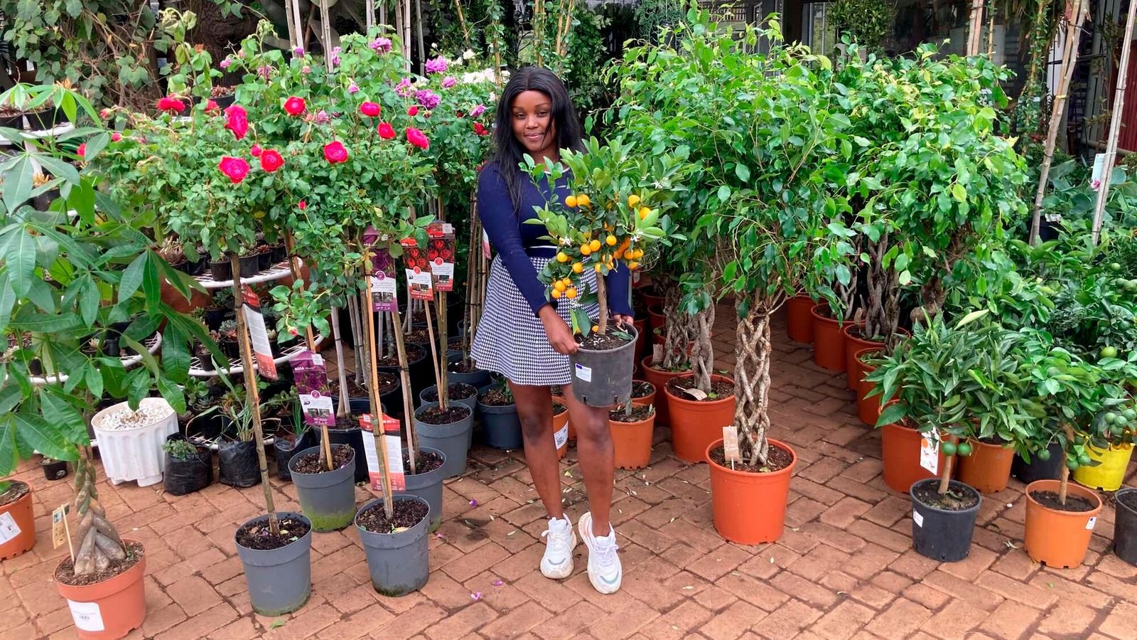 The wealthy Kenyans spending more than Sh100,000 on grown plants
