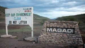 What Cadbury got right that Magadi didn’t