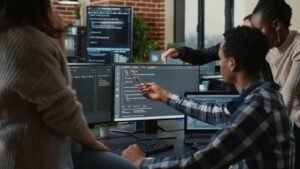 Where are decent software developers?