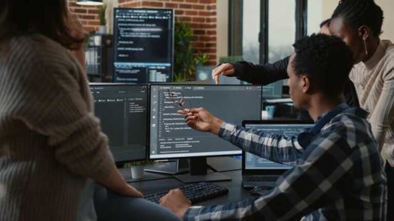 Where are decent software developers?