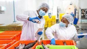Missing middle: The essential technicians left out of Africa’s food system