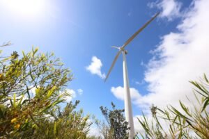 Atmos signs off on WA wind farm