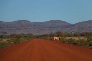 WA transport sector calls for defence input on North West logistics network