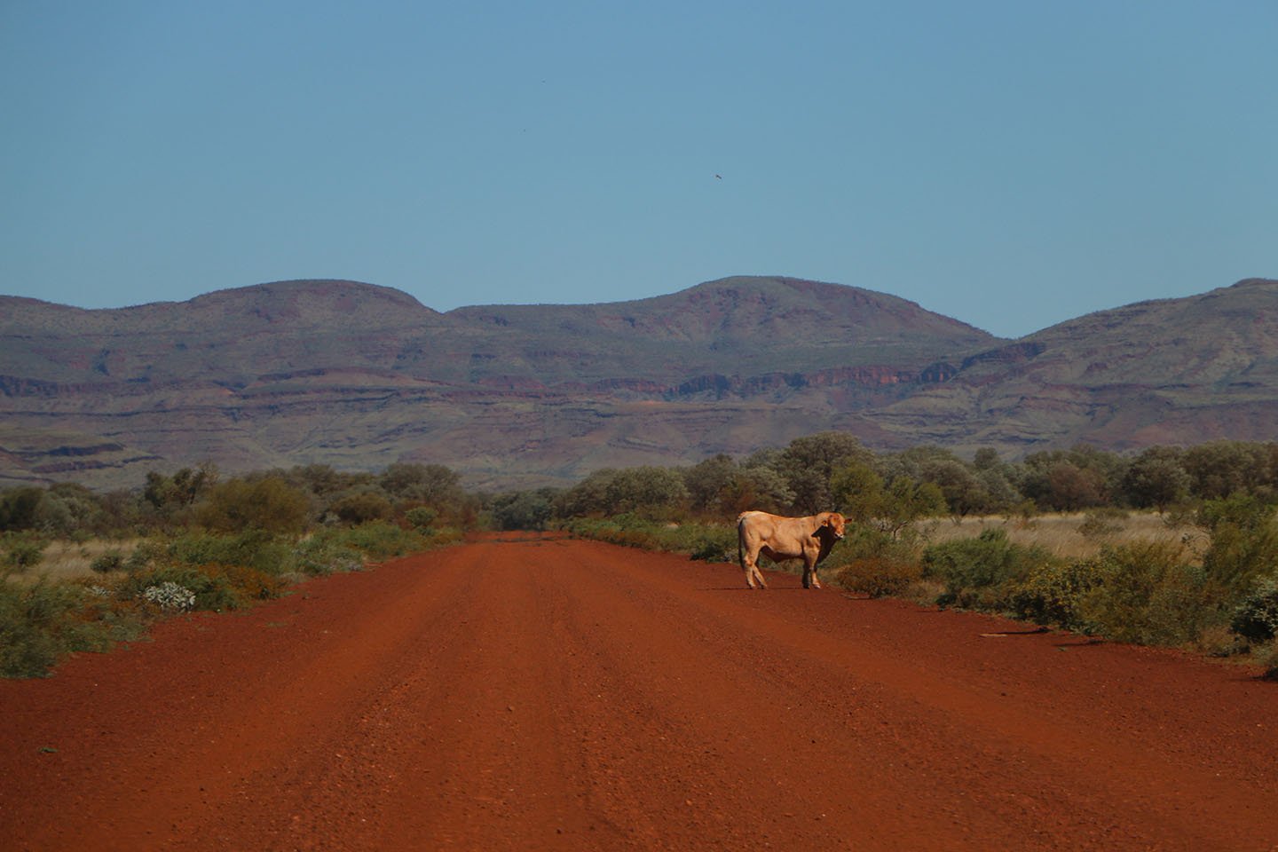 WA transport sector calls for defence input on North West logistics network