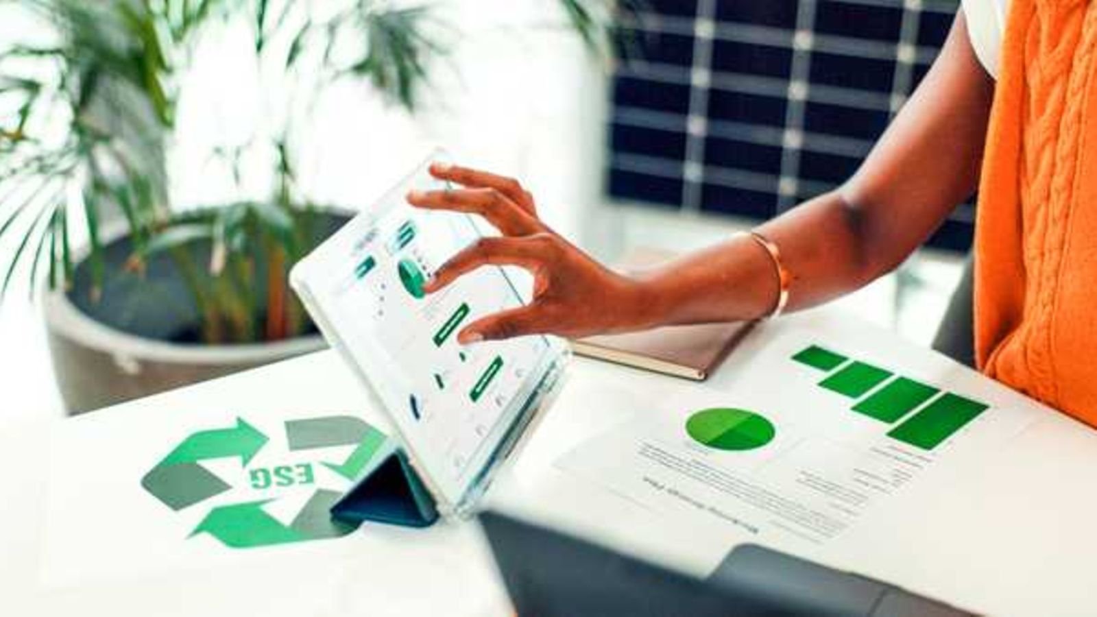 Delivering value for your firm by balancing sustainability tensions