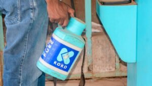 PwC fails to secure buyer for Koko’s carbon credits