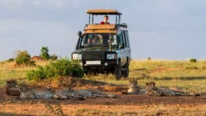 Tourism’s new gatekeeper: Is Kenya ready for the AI traveller?