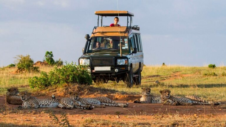 Tourism’s new gatekeeper: Is Kenya ready for the AI traveller?
